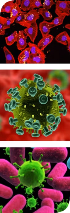 Richmond Pharmacology is proud to announce that it will be hosting the AHPPI Winter Meeting early next year. 