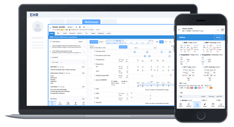 Wellmed Document Library Wellsheet Products: Your Patient Data Prioritized for you