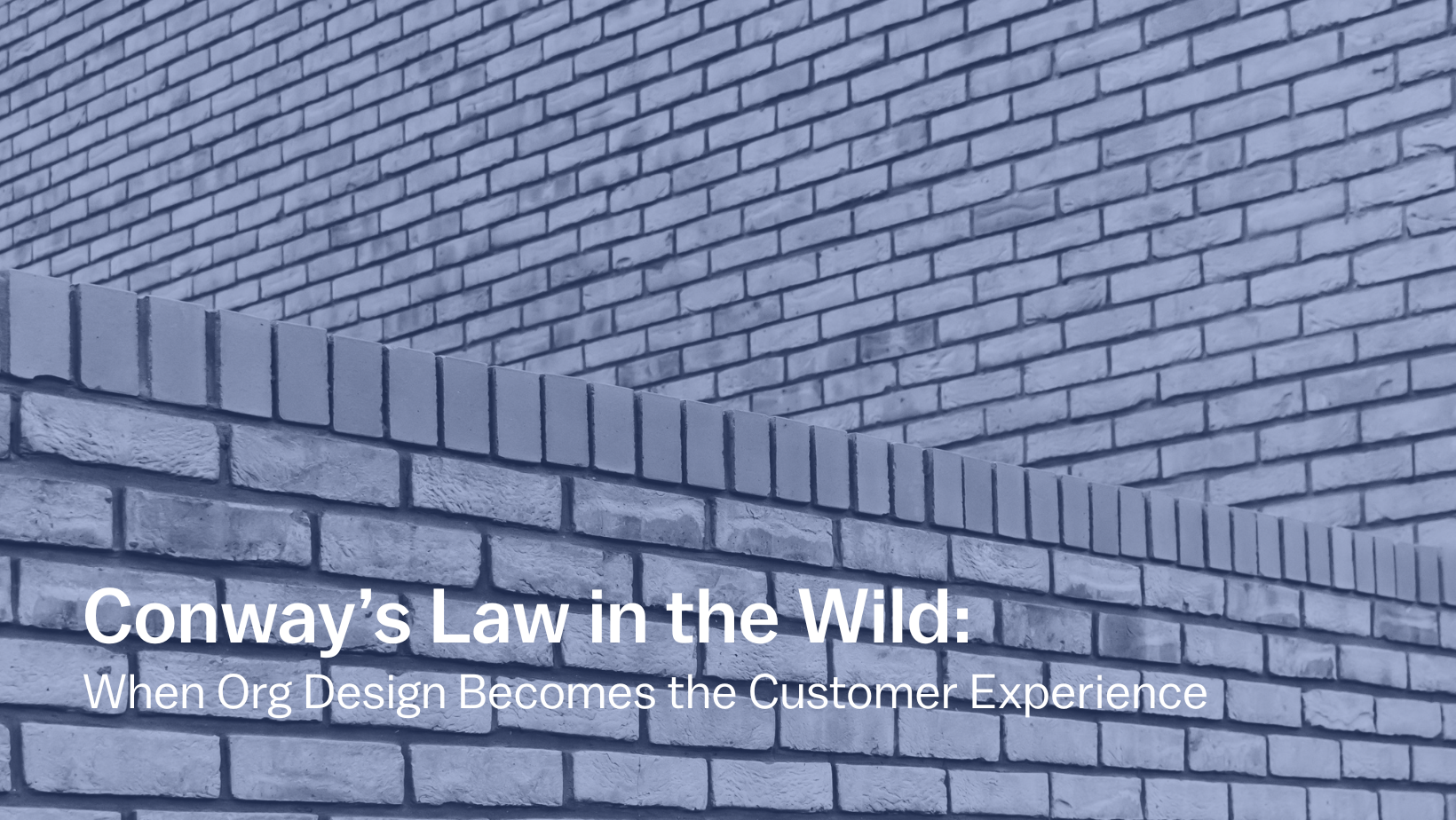 Read the full CMG case study