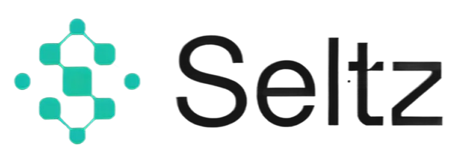Seltz.ai company logo with a teal geometric symbol on the left and the word 'Seltz' in black text on the right.