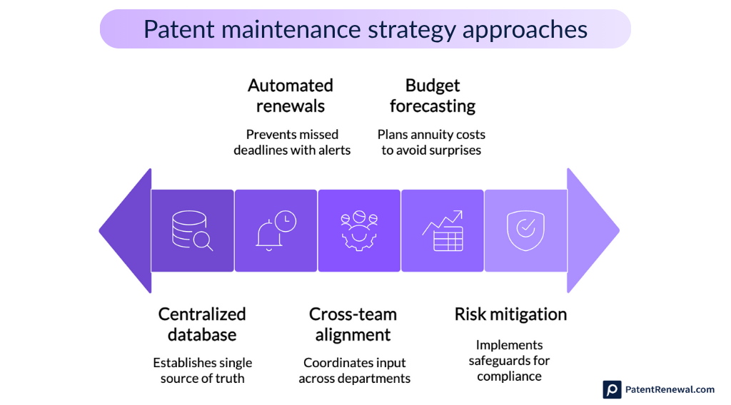 Patent maintenance strategy approaches