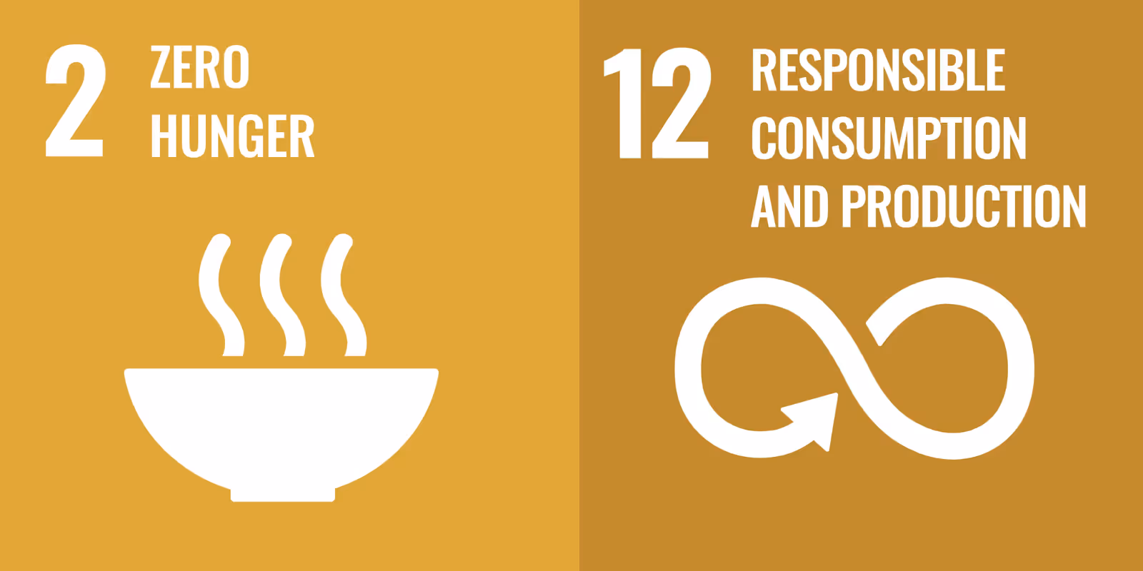 SDGs 2 and 12
