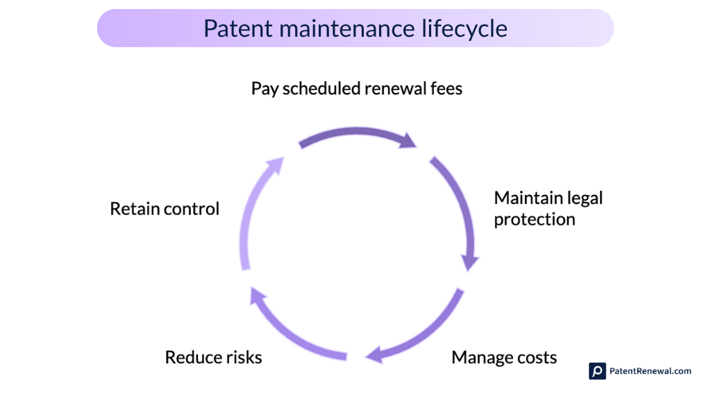 Patent maintenance lifecycle