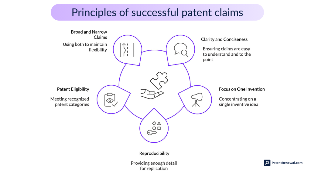 Principles of a successful patent claim