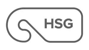 hsg