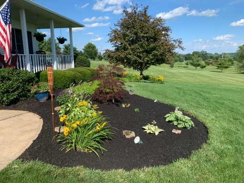 Vibrant flower bed with fresh mulch and accent landscape lighting