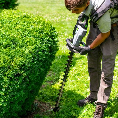 Healthy, neatly trimmed trees and shrubs enhancing a residential landscape in Uniontown, OH.