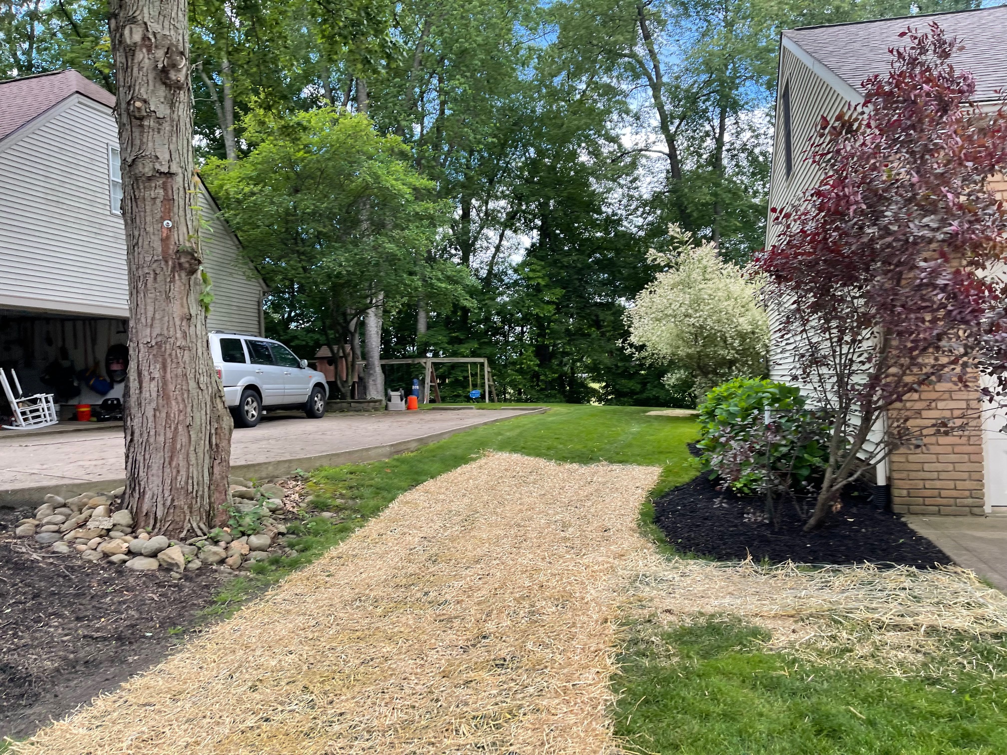 Fresh sod installation creating an instantly green, beautiful lawn.