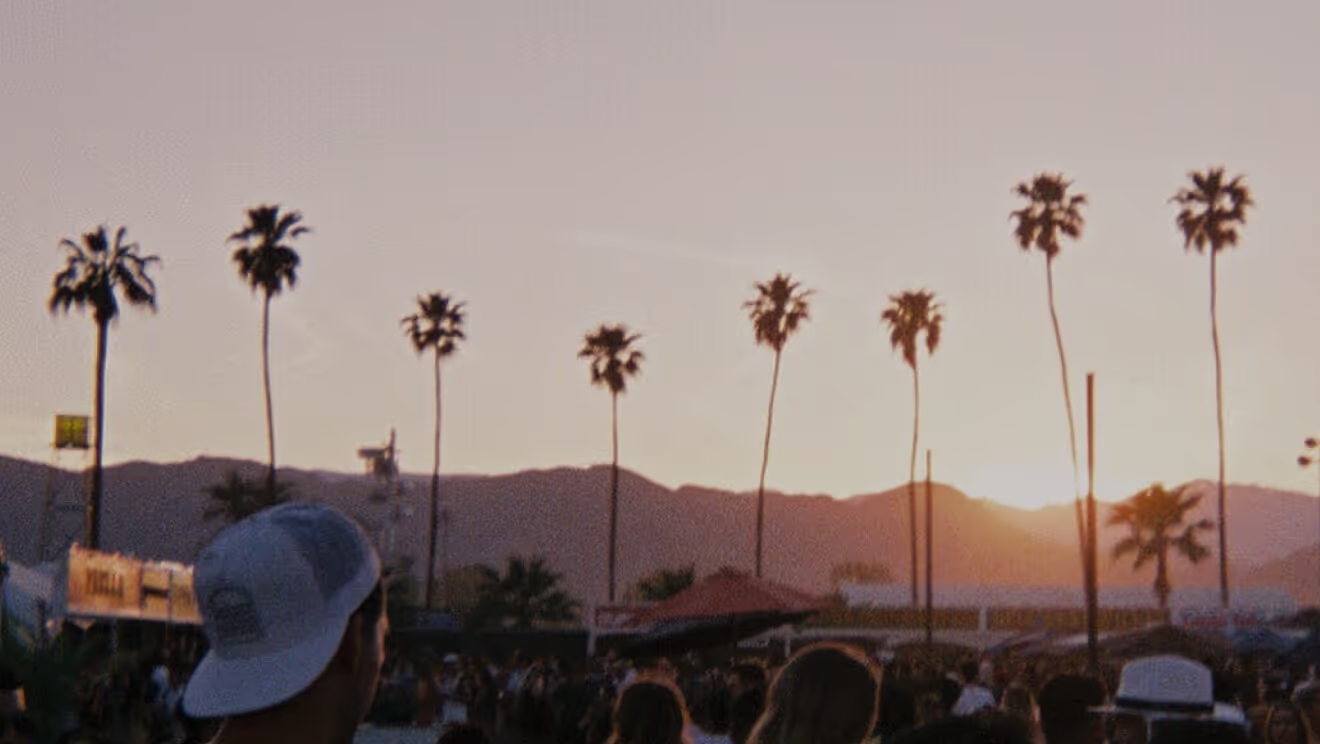 The Breef POV Issue No. 20