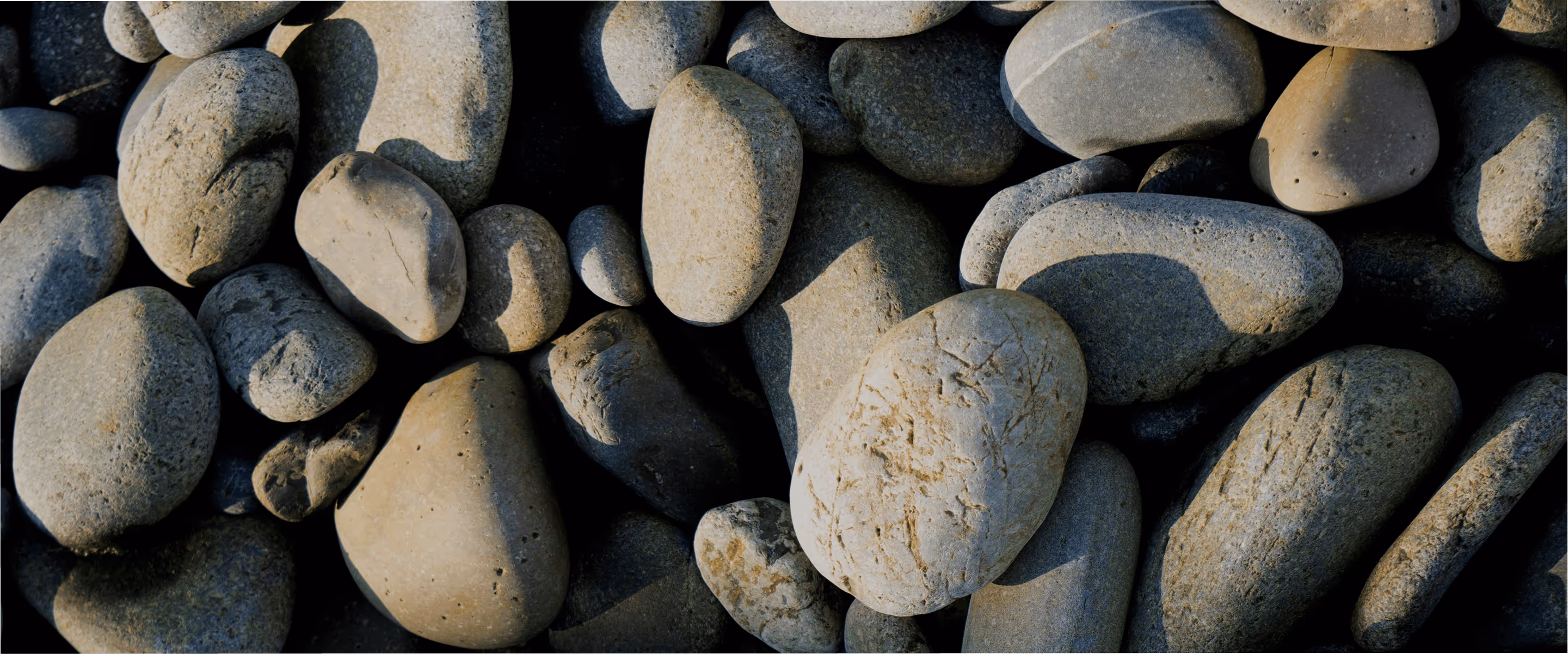 What Marketers Can Learn from the Anthropologie Rock Prank (A Case Study)