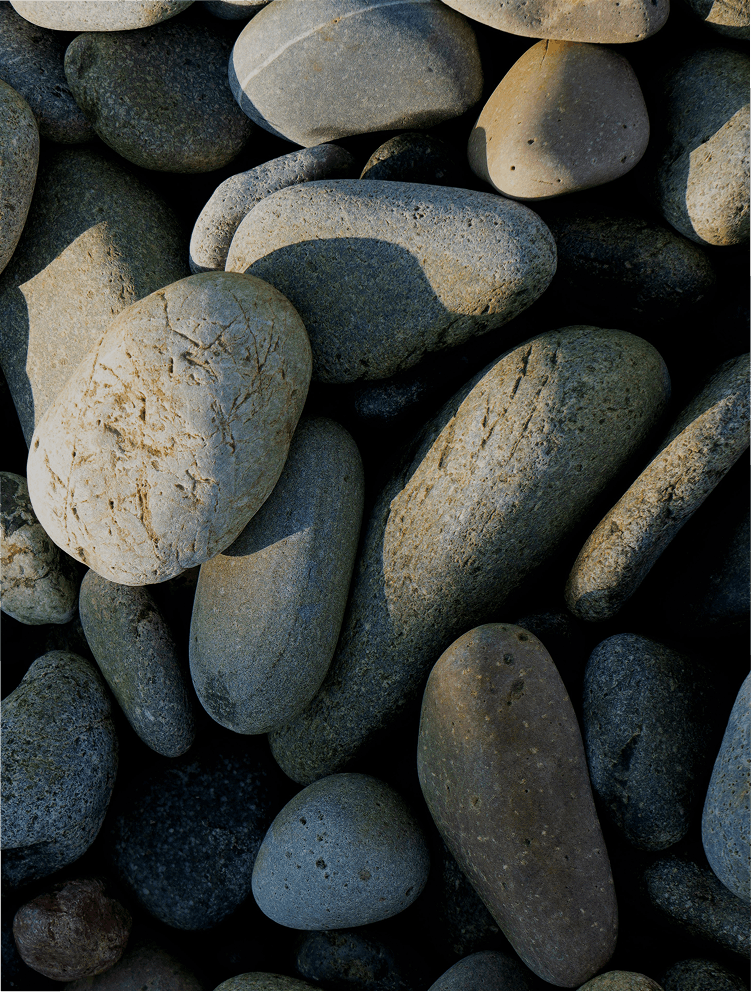 What Marketers Can Learn from the Anthropologie Rock Prank (A Case Study)