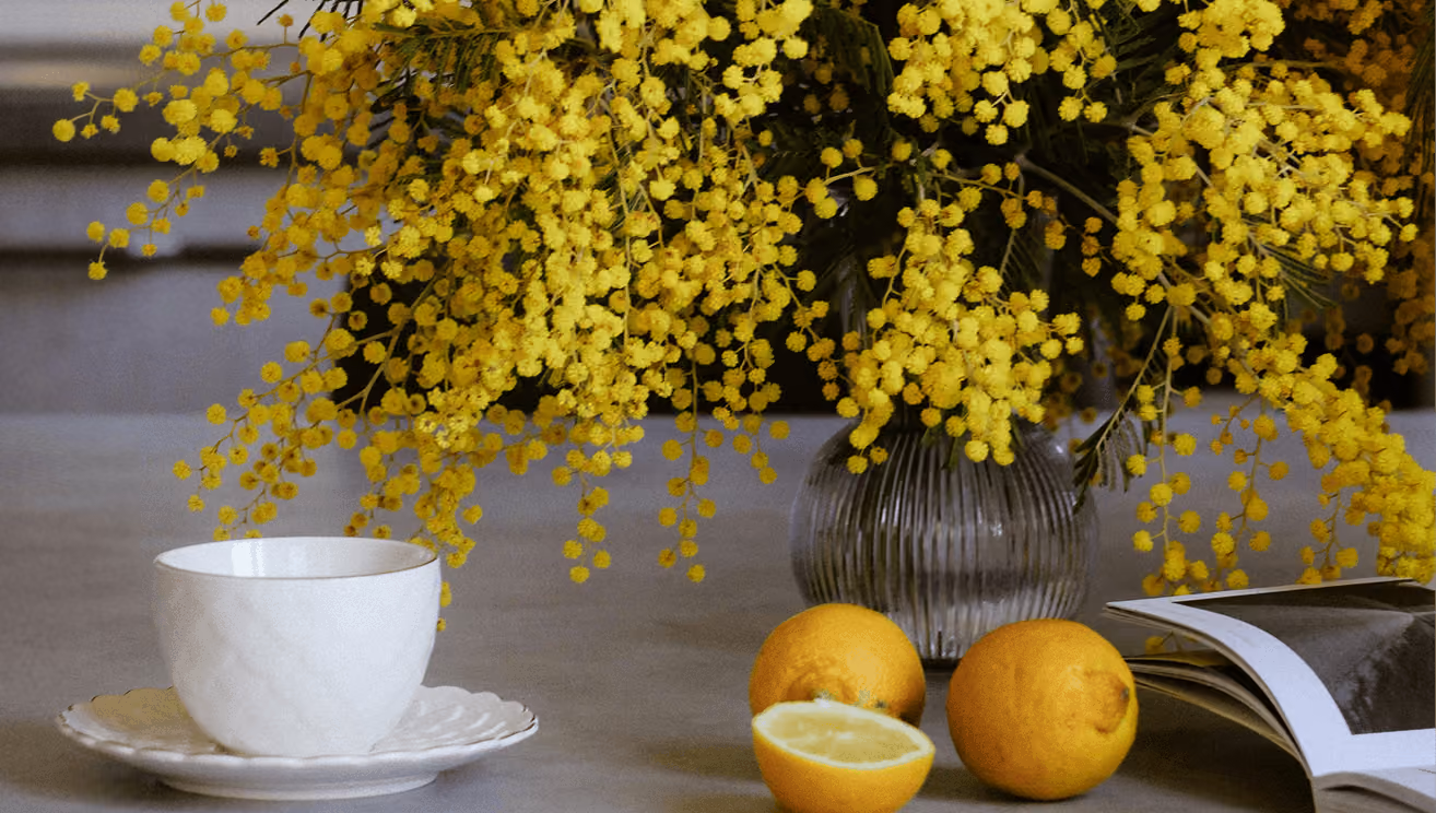 Kick Off Q1 Strong: How Agencies Help Small Brands Start the Year With Momentum
