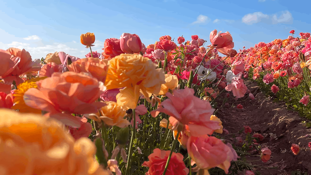 Starting the Year Strong: How to Reset Your Marketing Strategy in Spring