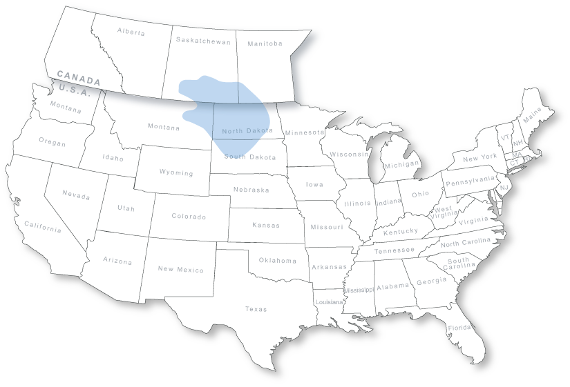Williston Basin Coverage