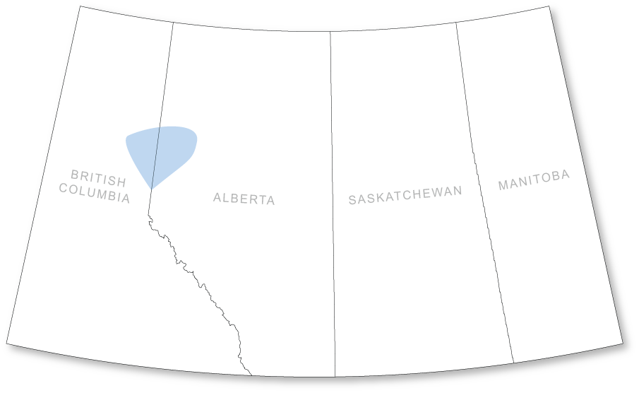 Peace River Arch Coverage