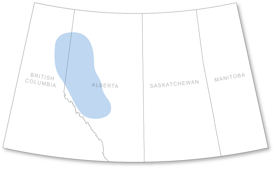 Deep Basin Coverage