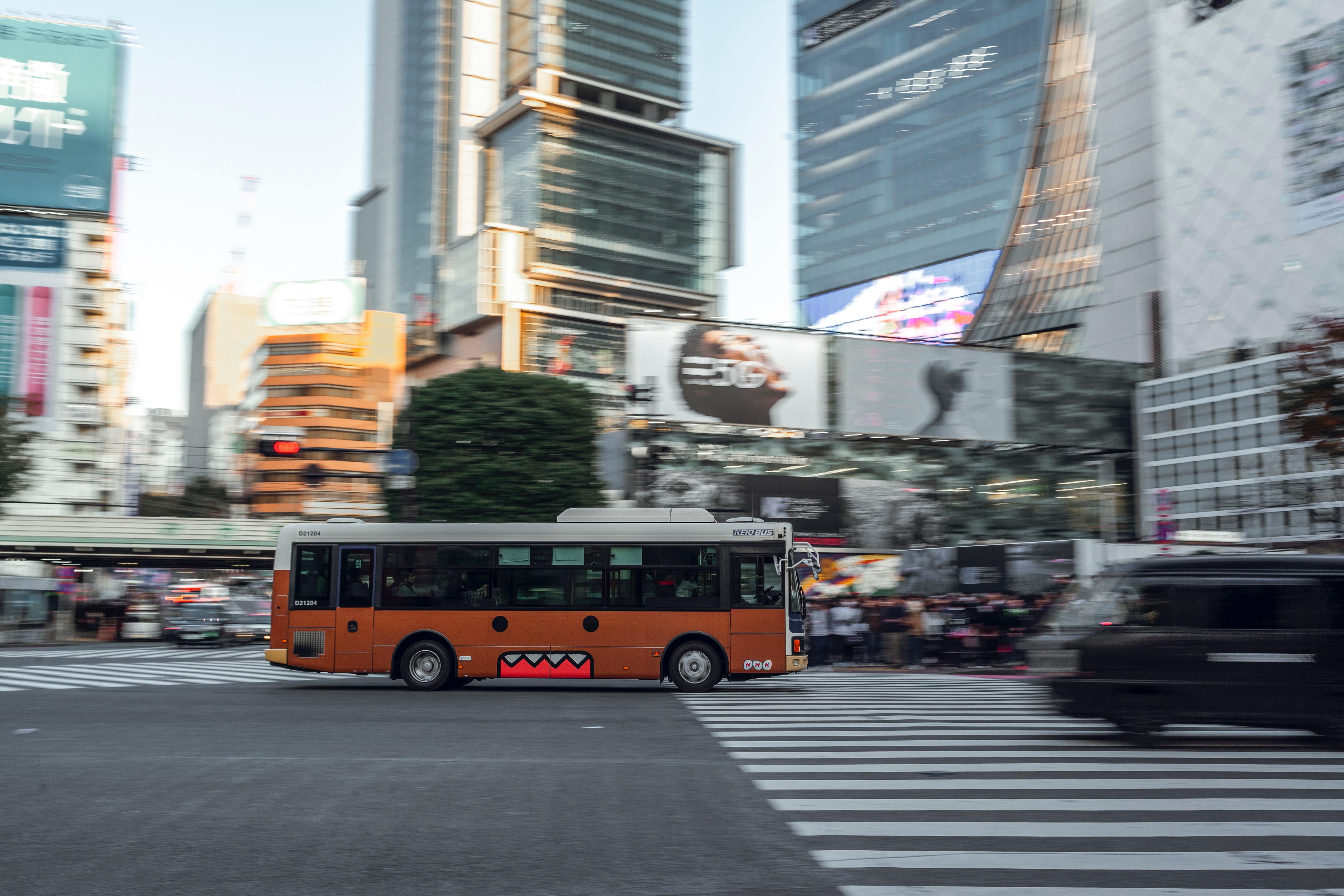 bus on the road