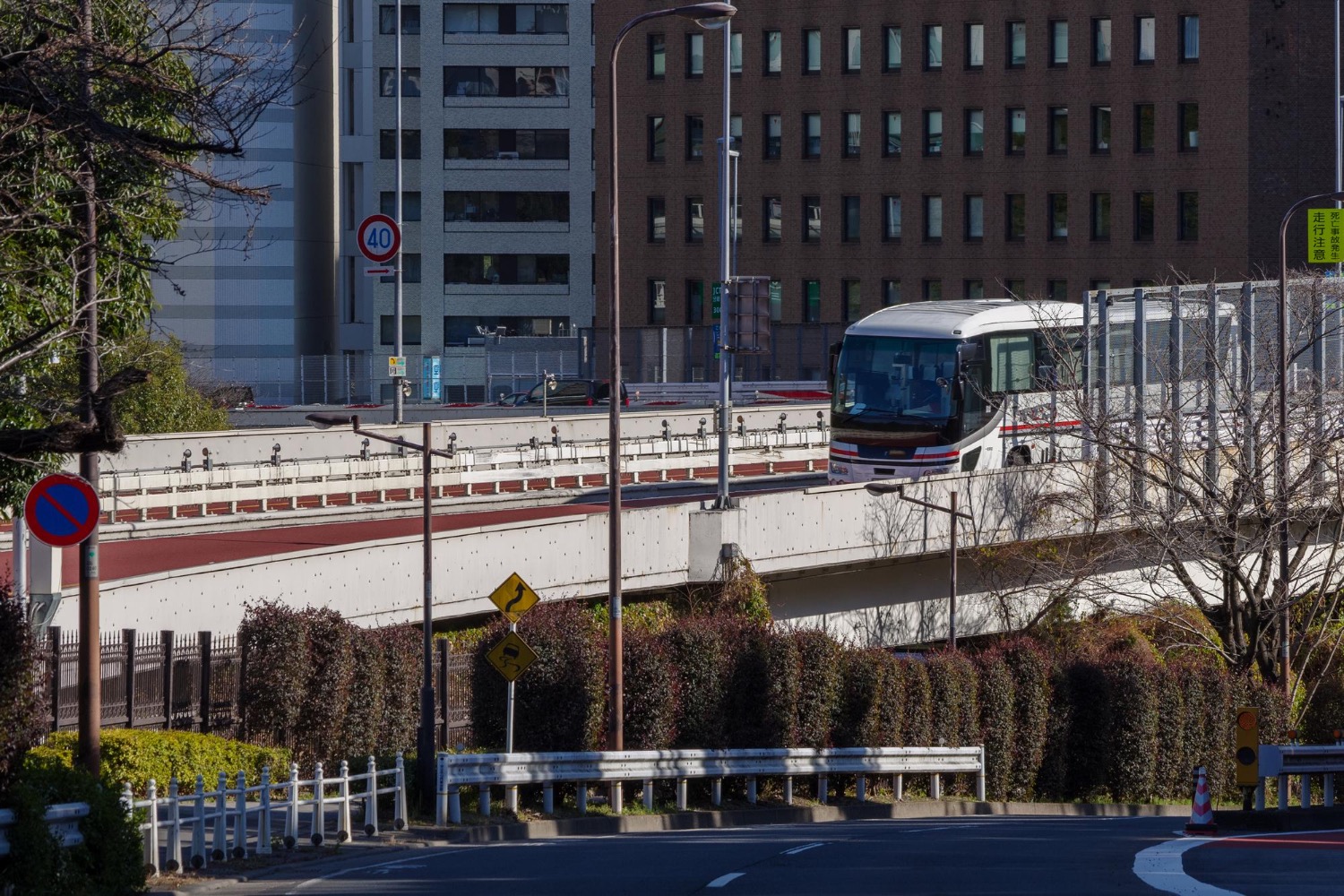 Road over park in the city with a bus