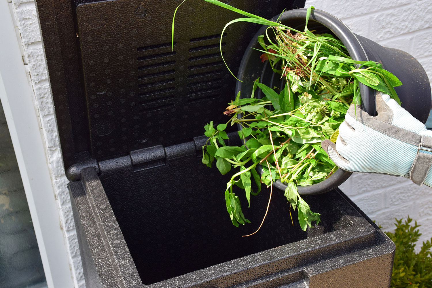 Garden waste being added to a HOTBIN composter in summer