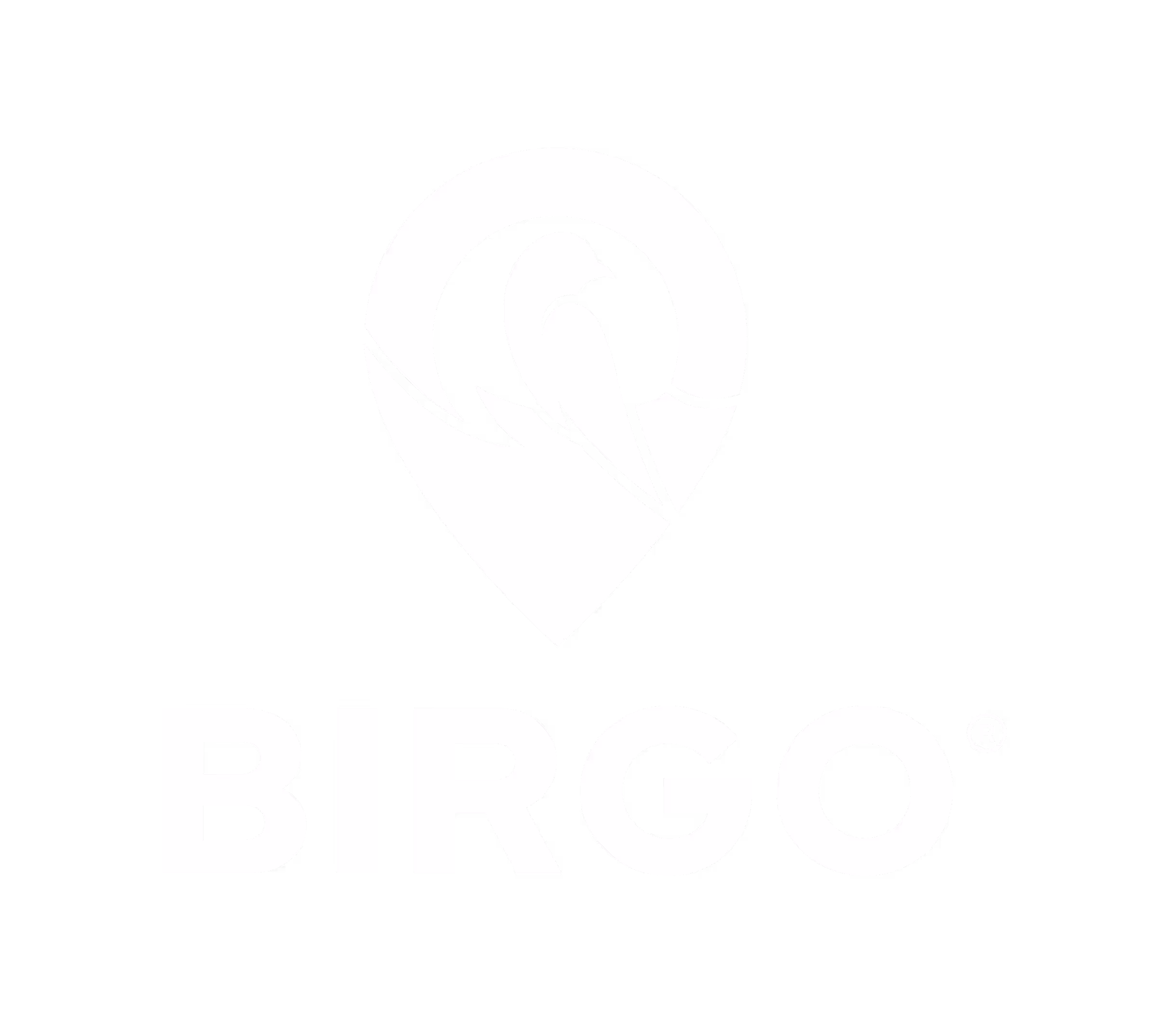 Birgo logo with a stylized bird inside a map pin icon above the text BIRGO.