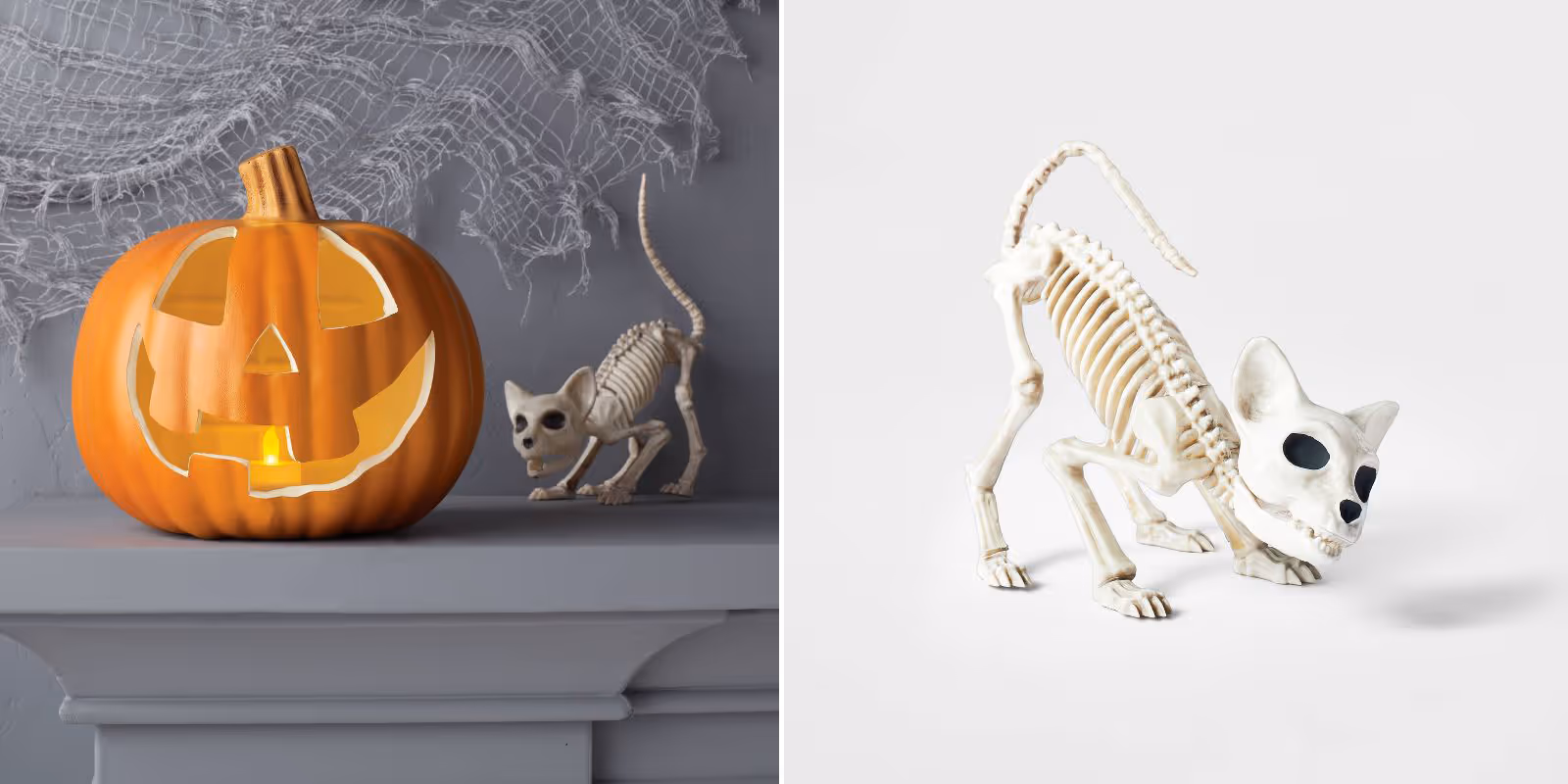 A cute crouching skeleton kitten prop