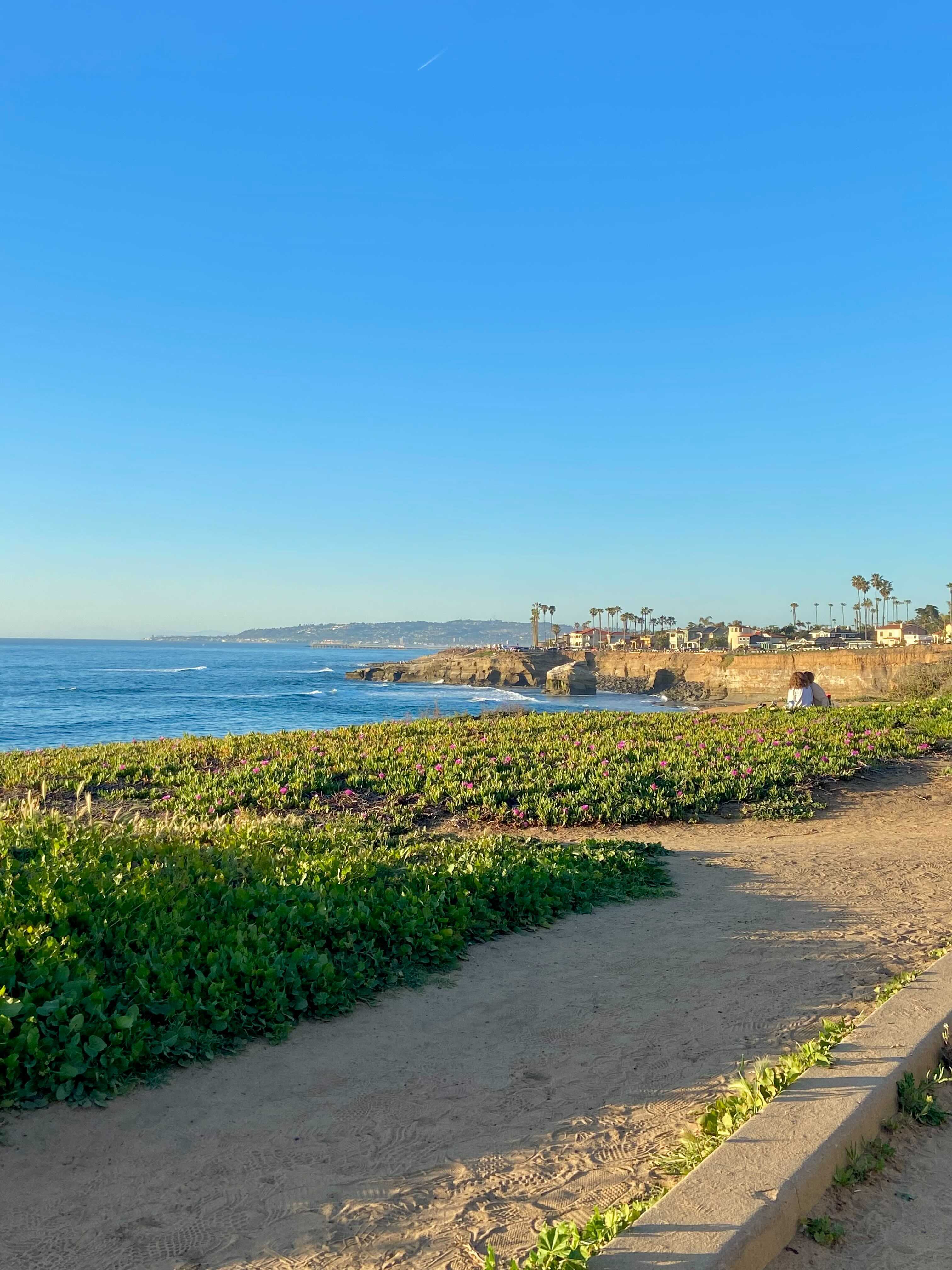 working virtually from San Diego at Sunset Cliffs