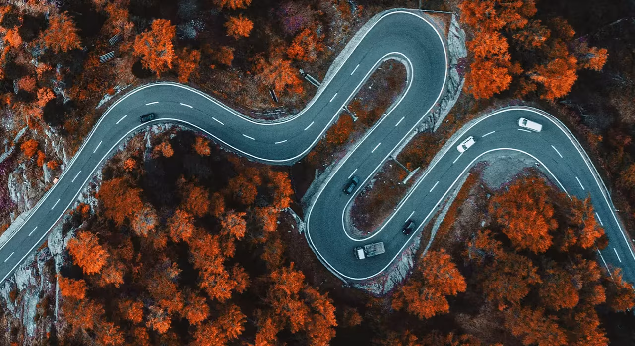 Aerial perspective of a curving road meandering through a lush forest, highlighting the beauty of nature.
