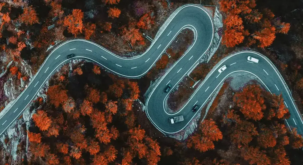 Aerial perspective of a curving road meandering through a lush forest, highlighting the beauty of nature.