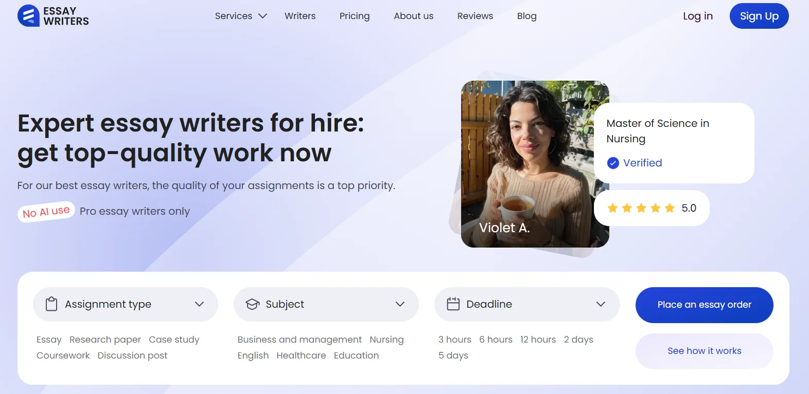 EssayWriters 