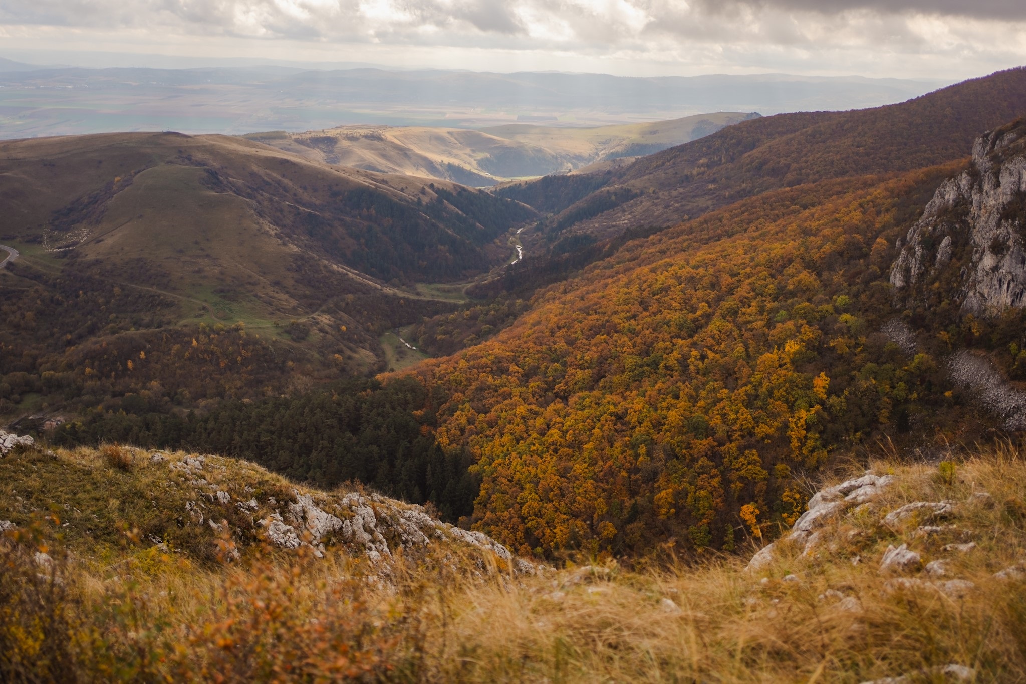 silvestr express 2022