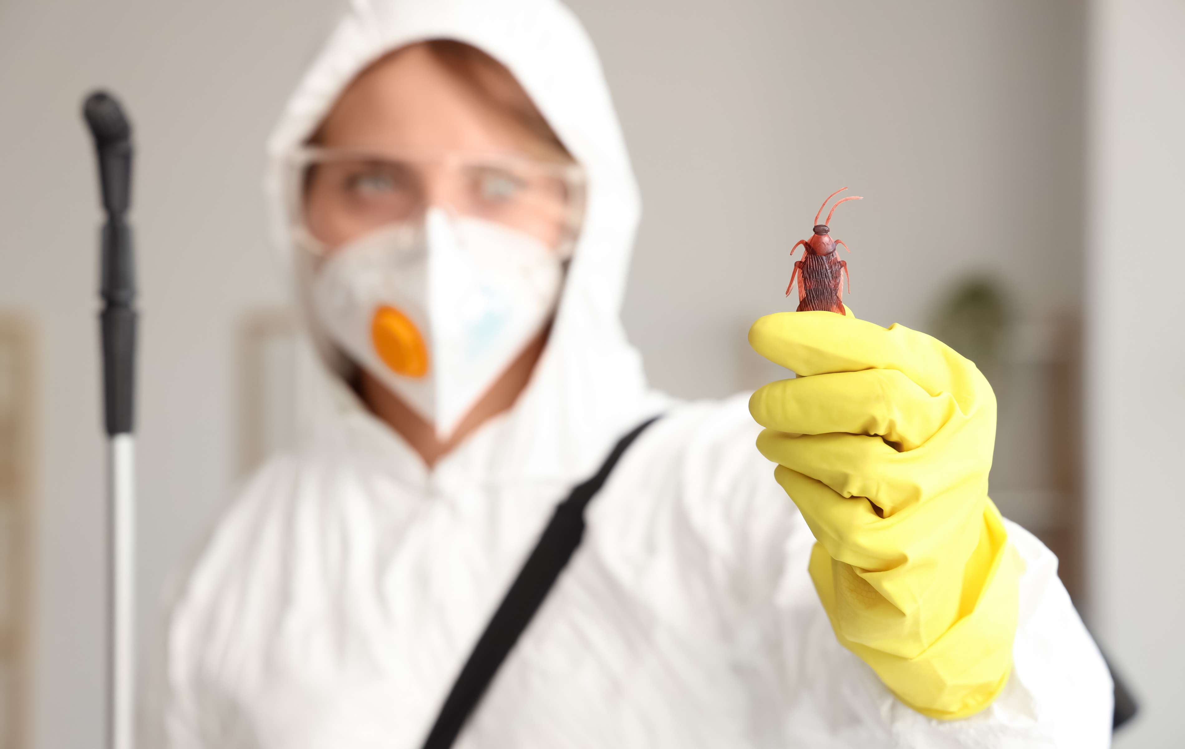 3D et QHSE : comment centraliser le suivi dératisation, désinfection et désinsectisation ?
