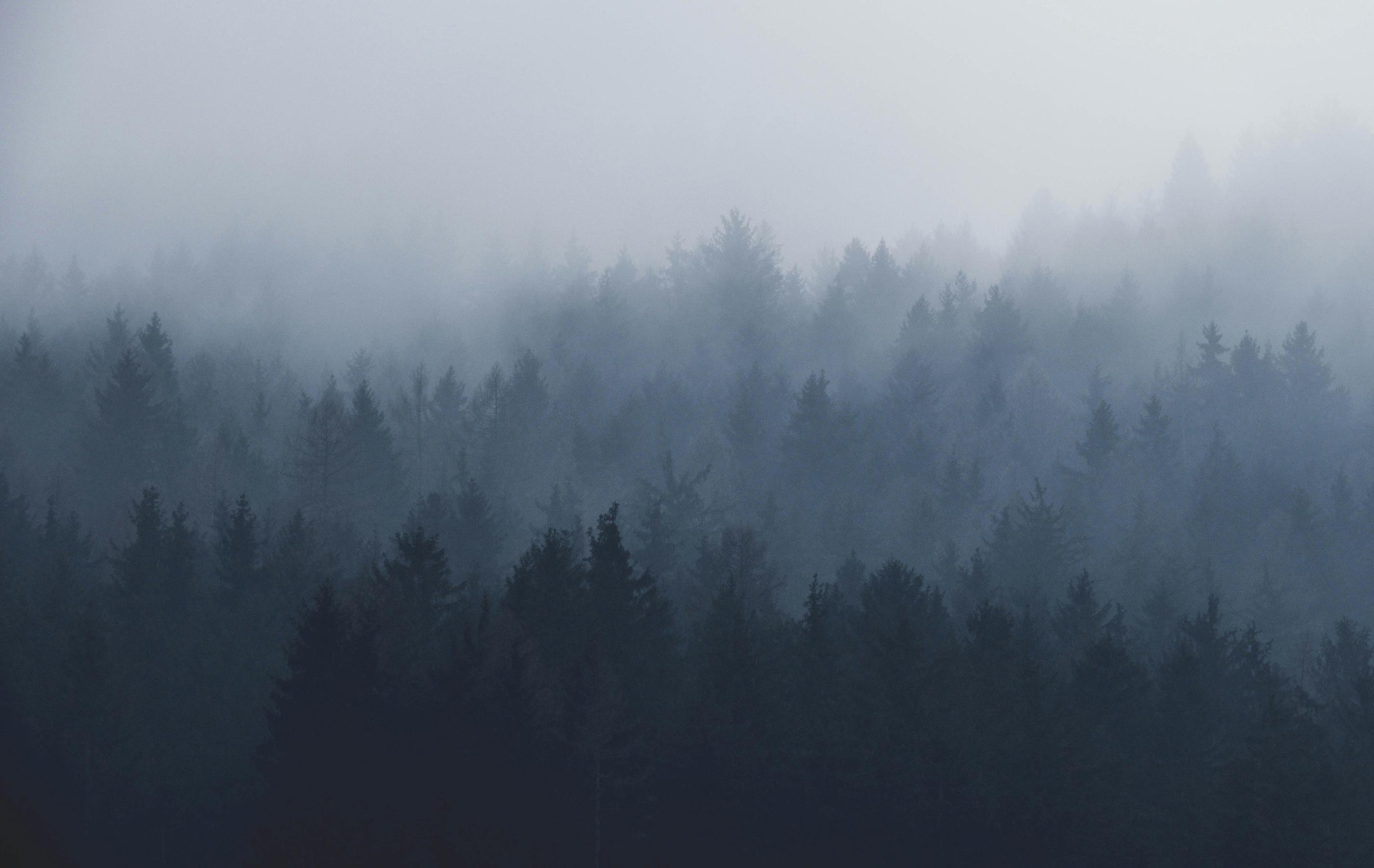 Ce que les occupants n'osent pas dire sur leur environnement de travail