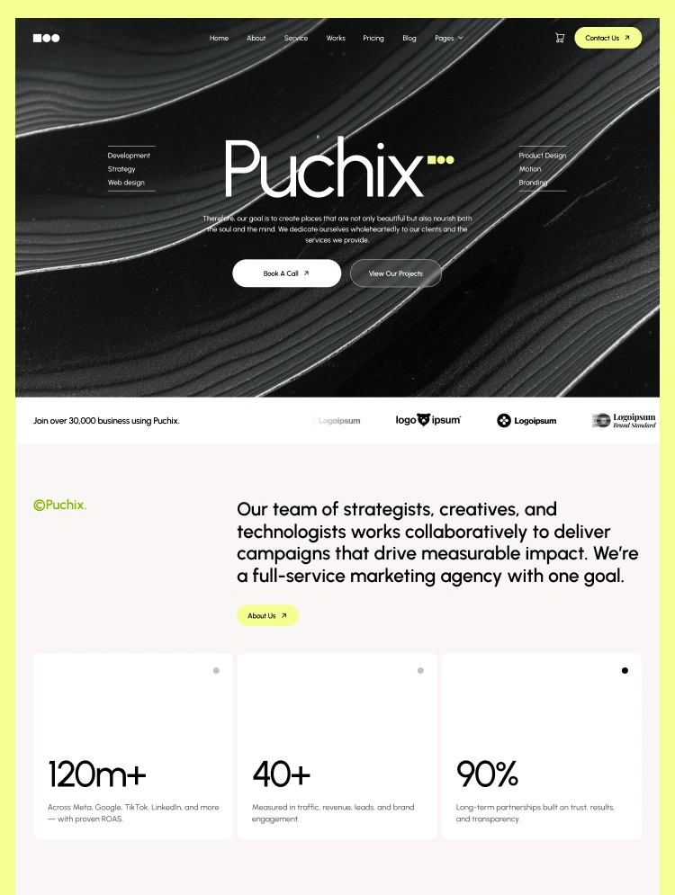 Puchix Studio