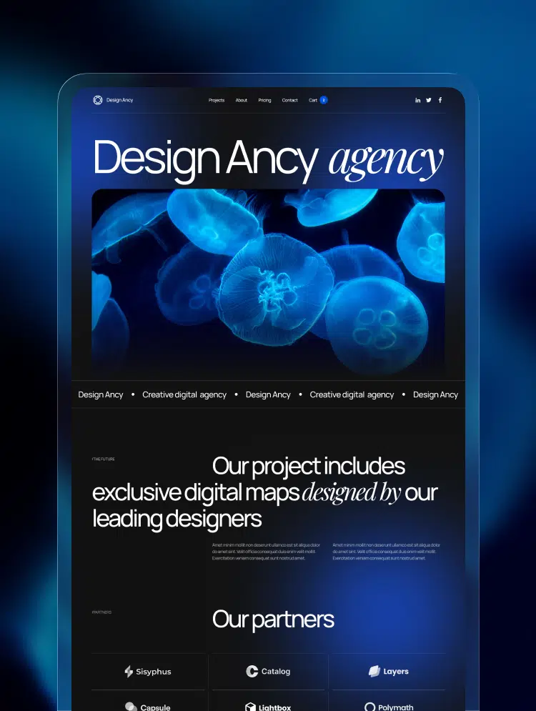 Design Ancy DB