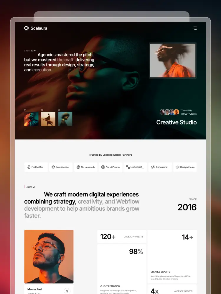 Scalaura thumbnail