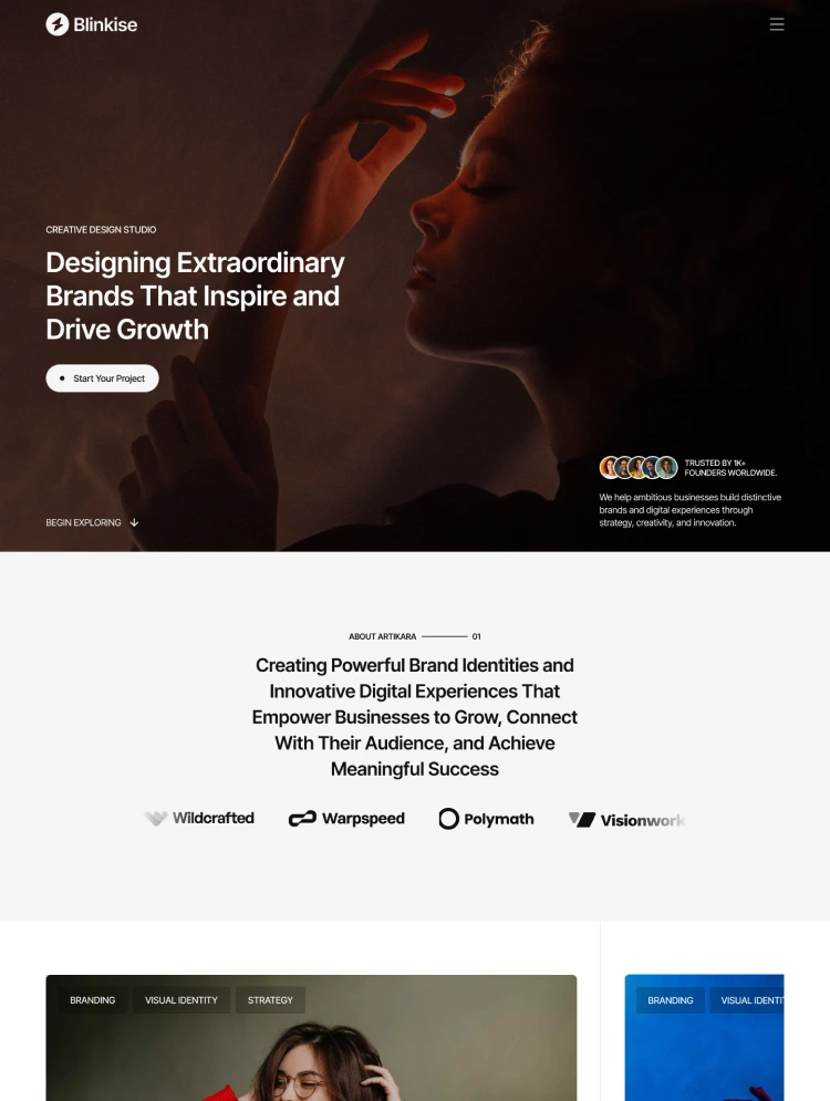 Blinkise by Sayem - Portfolio, Agency design asset by webflow