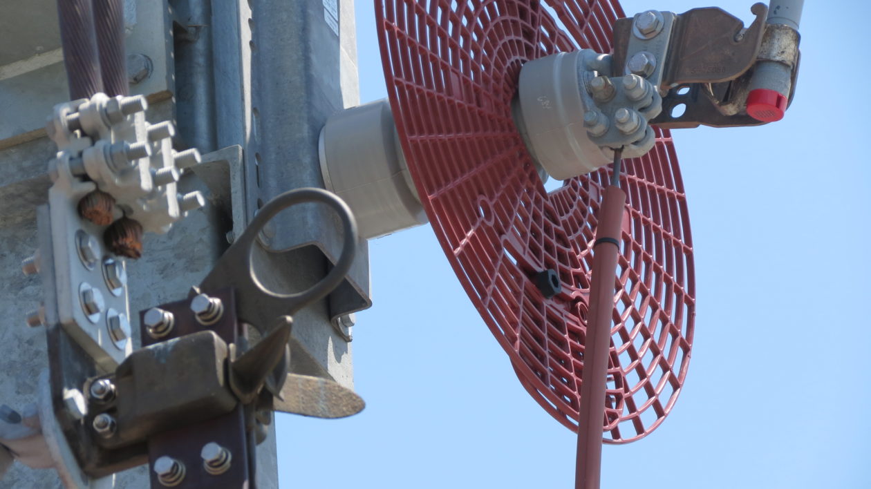 How Wildlife Causes Major Power Outages