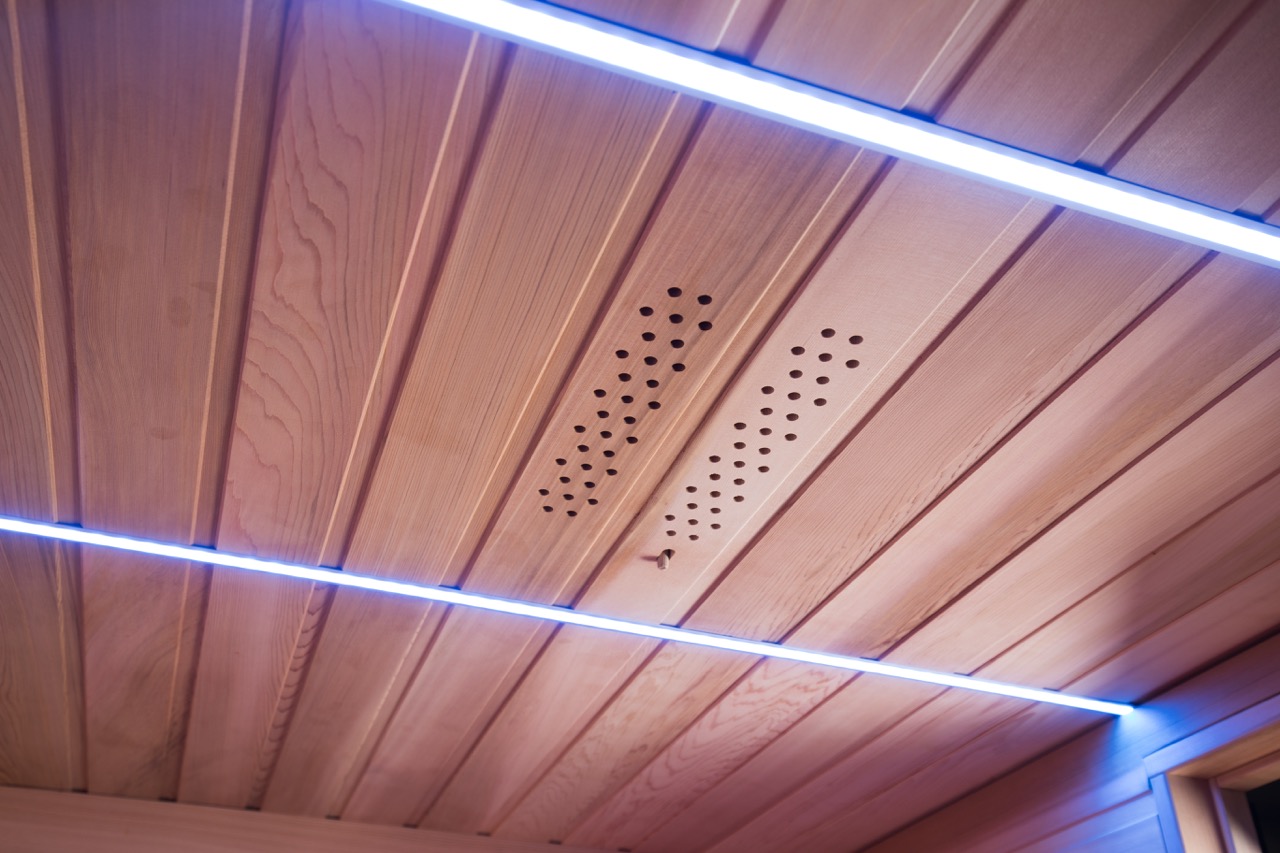 Verlichting in het plafond van de infrawave sauna met red cedar houten afwerking