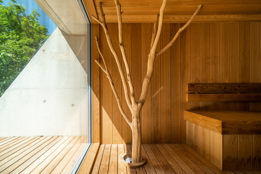 Houtentak in moderne sauna met groot raam en natuurlijk licht