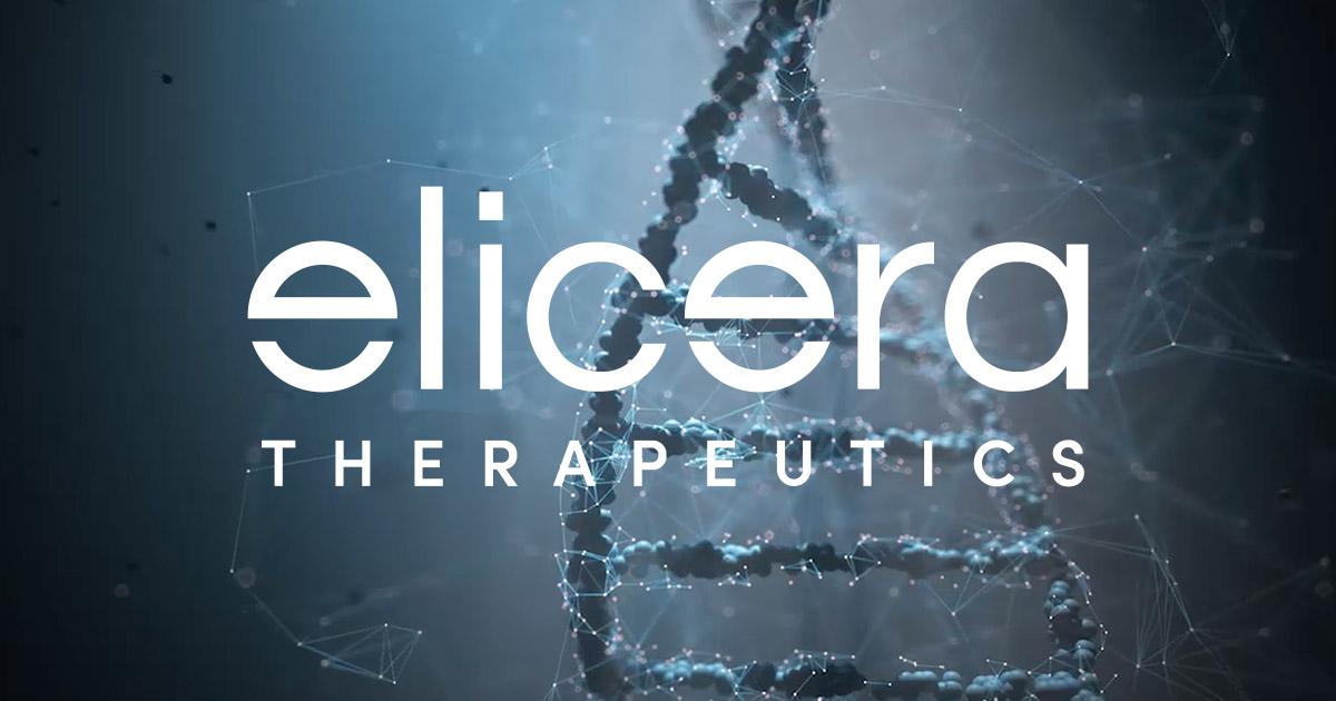 www.elicera.com