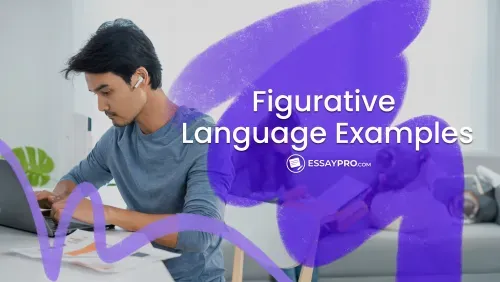 Figurative Language Examples
