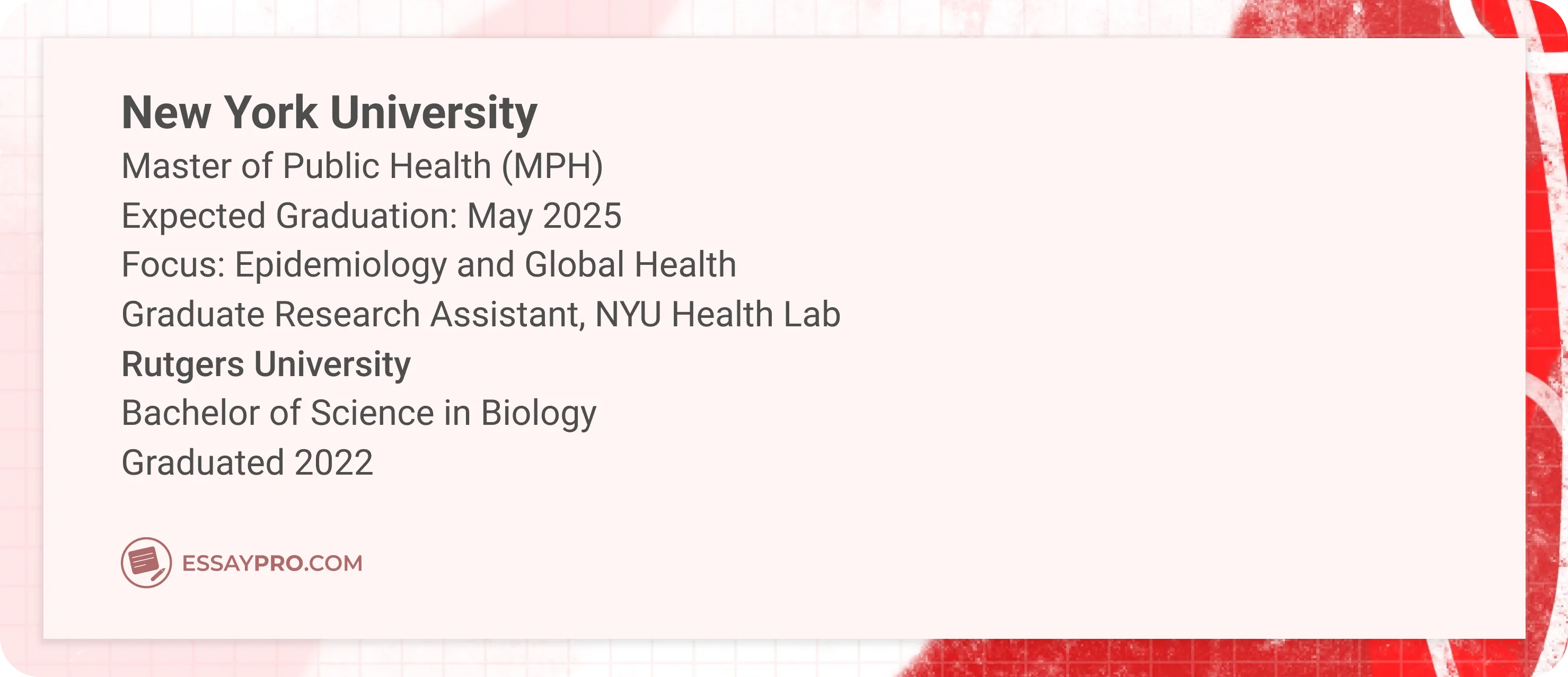 new york university