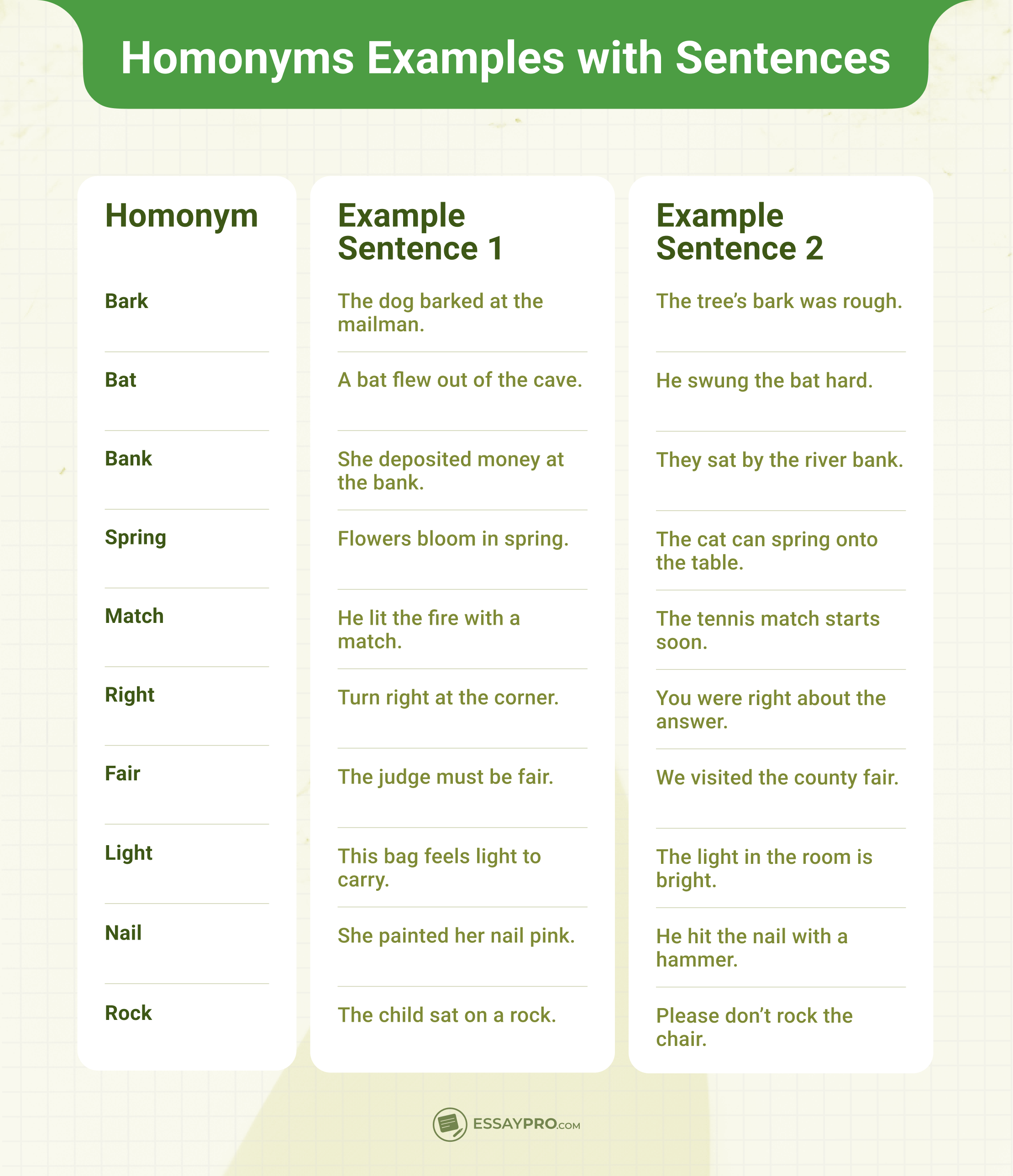 Homonyms Examples with Sentences