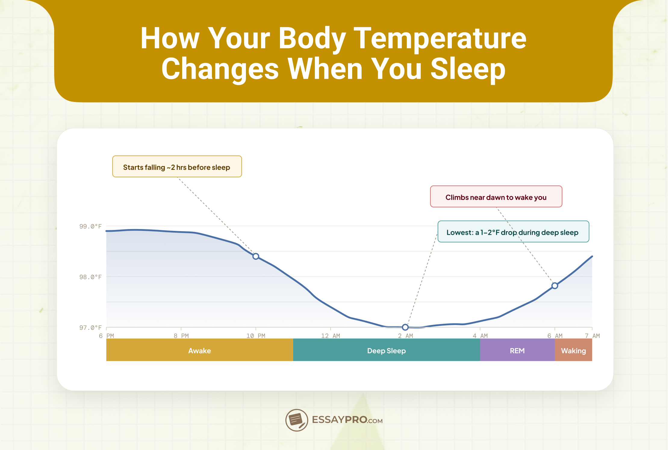 Does Your Body Temperature Change When You Sleep?