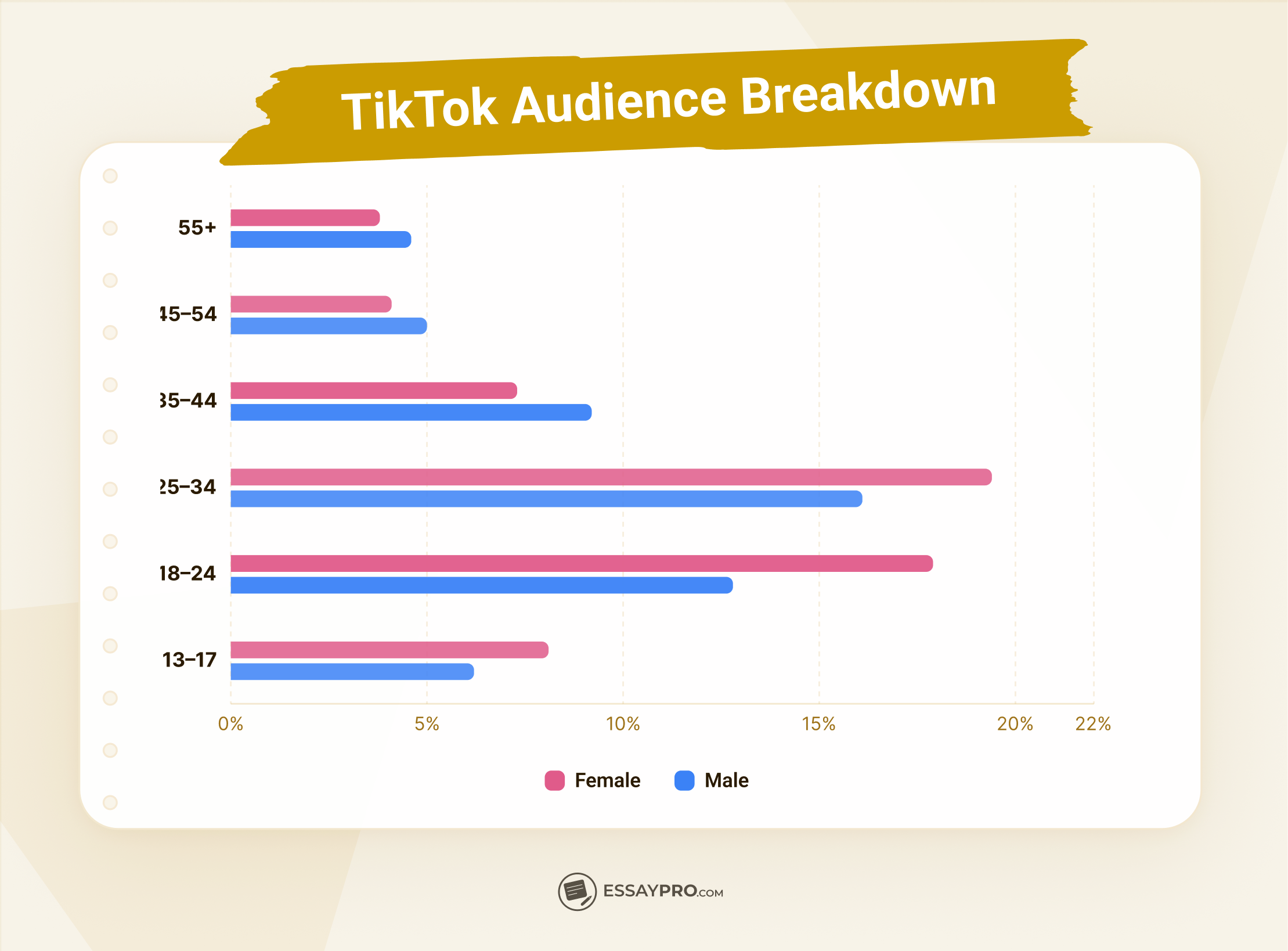 TikTok audience demographic stats