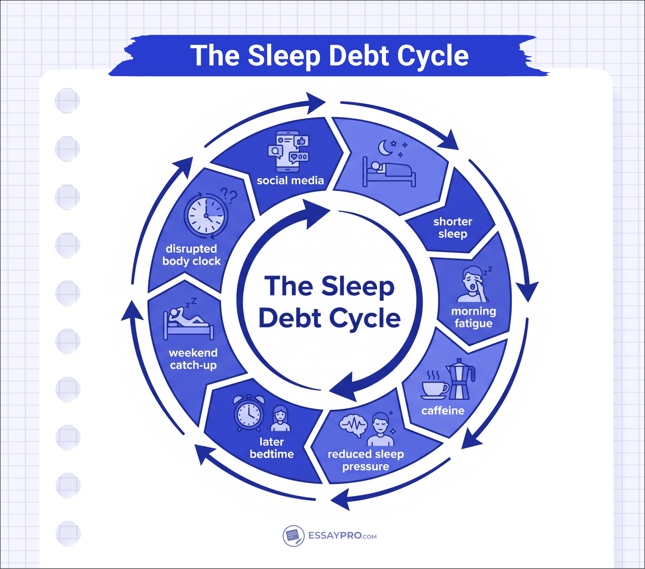 The Sleep Debt Cycle