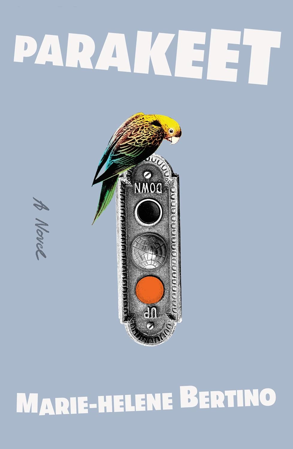Parakeet, by Marie-Helene Bertino