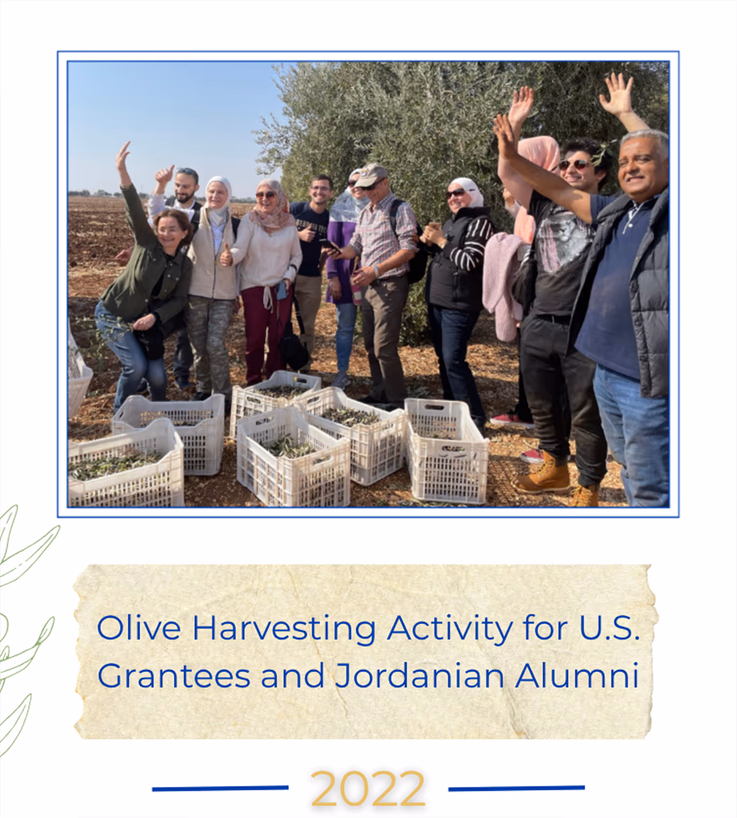 Olive Harvesting Activity for U.S. Grantees and Jordanian Alumni