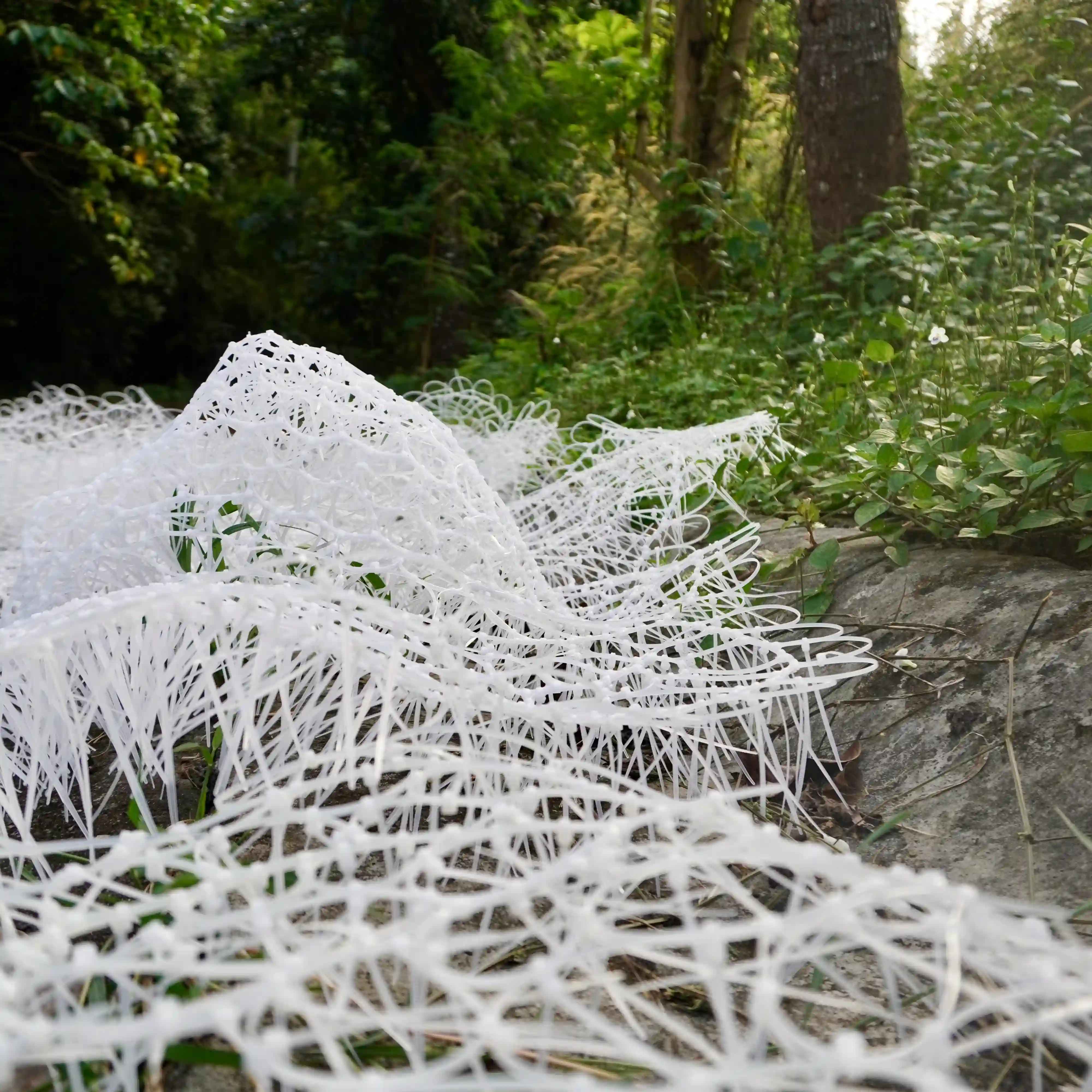 Vast when you'd expect Insular:  Kelli Maeshiro | MO_Space