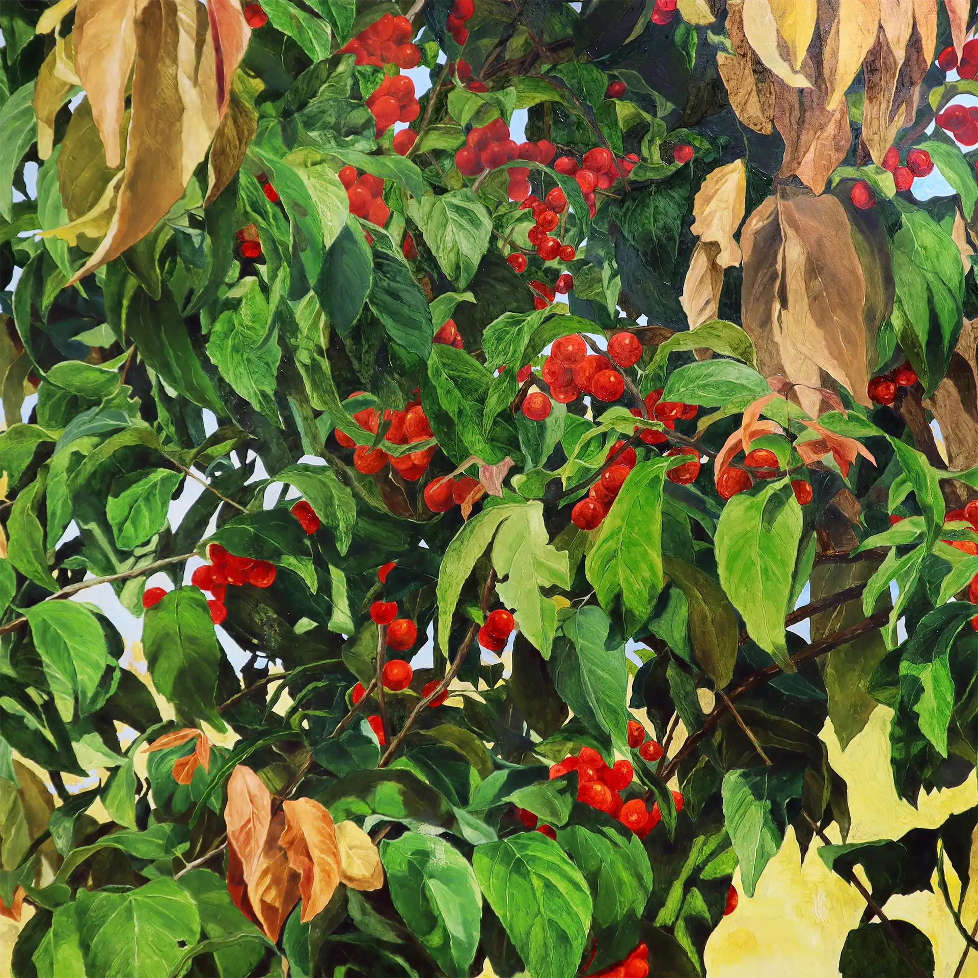 Beneath Familiar Branches: Jemima Yabes | MO_Space 